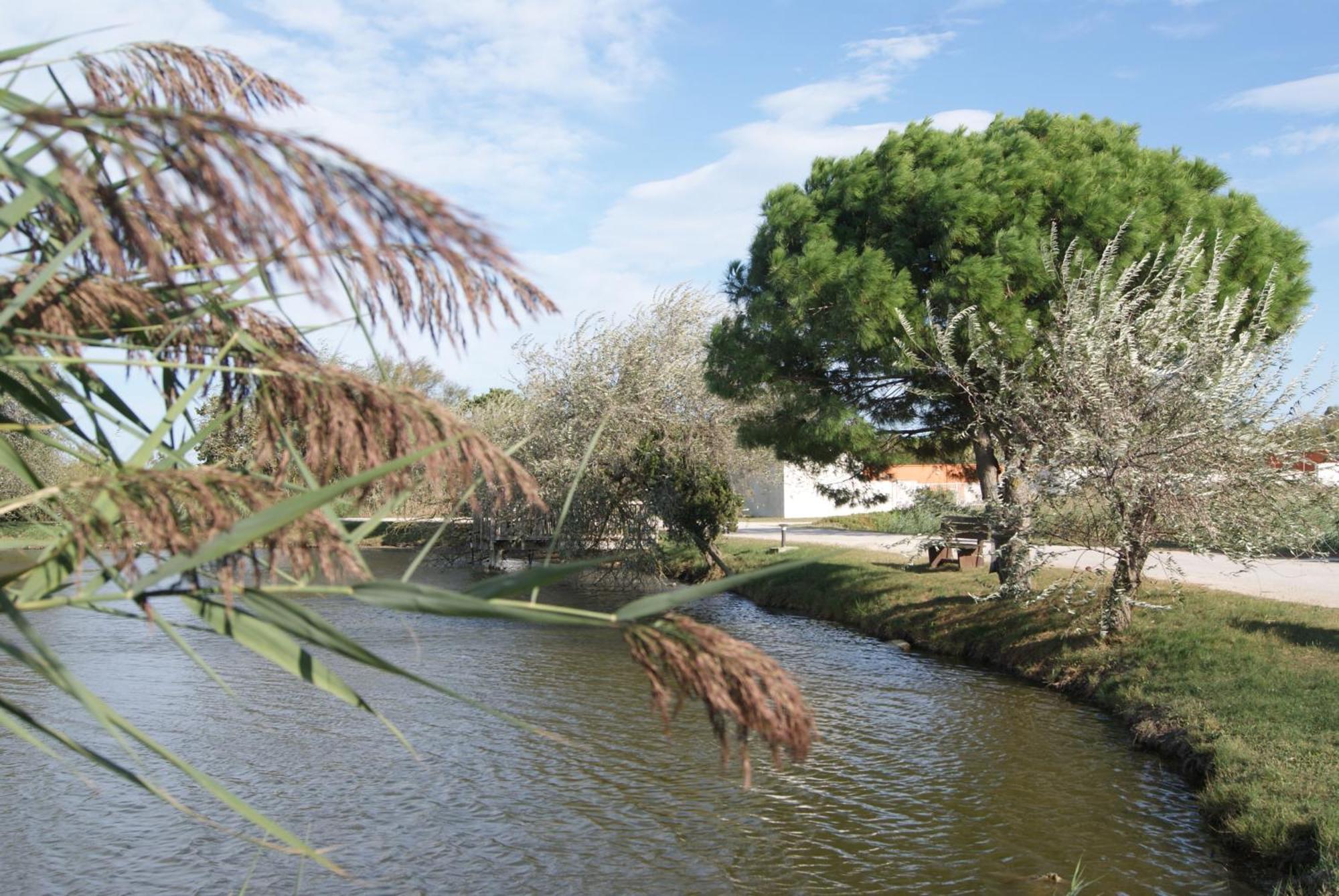 Hotel Les Rizieres Saintes-Maries-de-la-Mer Zewnętrze zdjęcie
