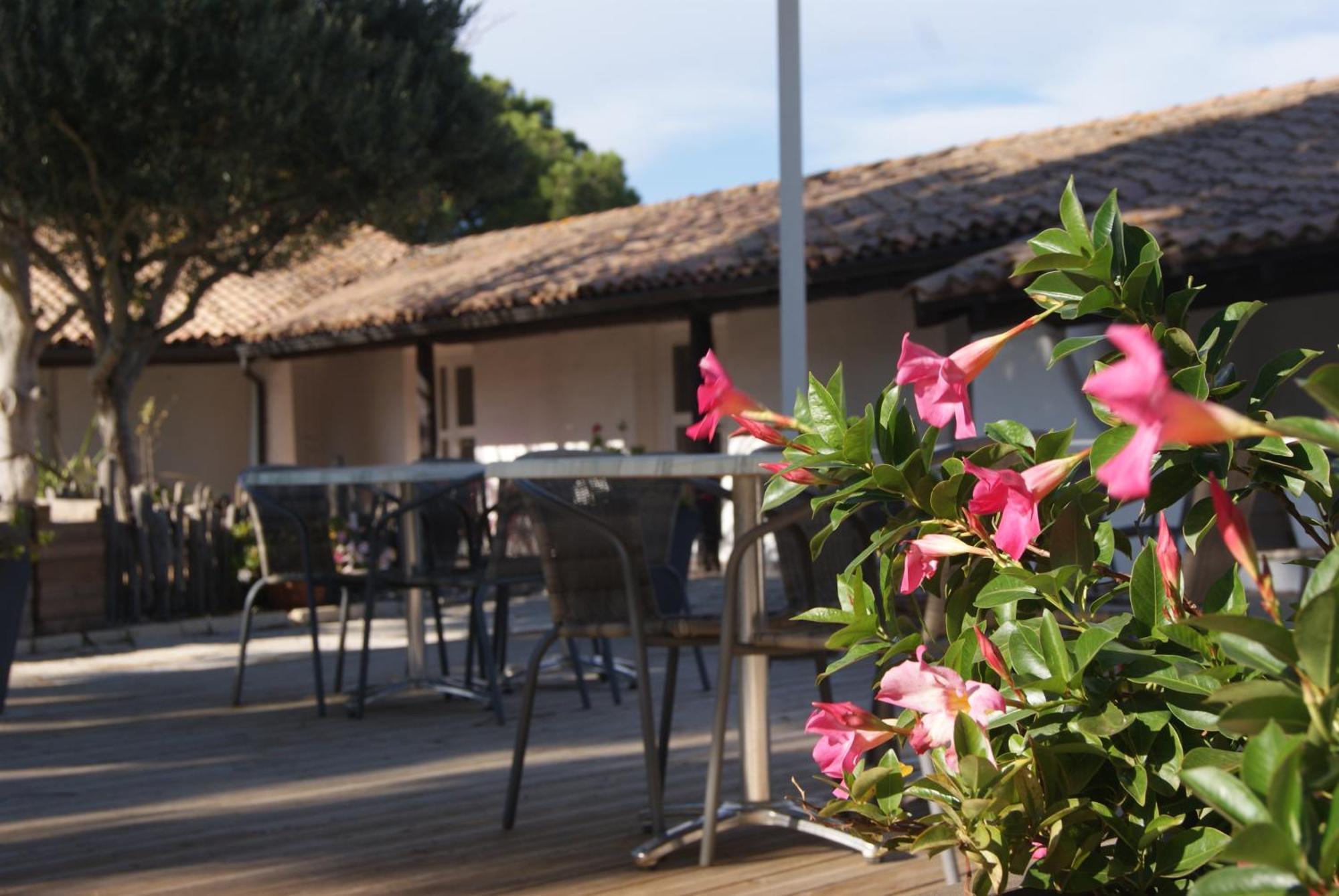 Hotel Les Rizieres Saintes-Maries-de-la-Mer Zewnętrze zdjęcie
